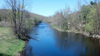 Narrow waterway with greenery on each bank