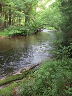 Farmington River - Butler Trail
