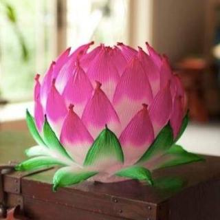 lotus flower lantern craft