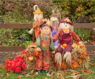 group of scarecrows