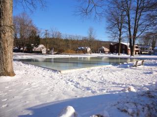 ice rink in Chapin Park