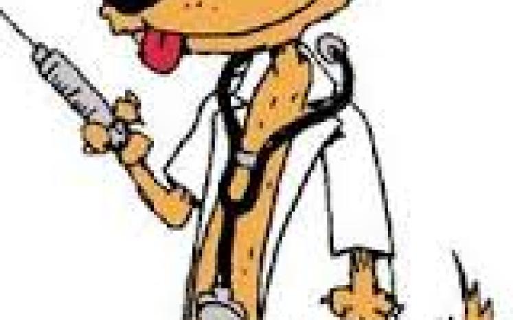 image of a dog dressed as a doctor holding a vaccination needle
